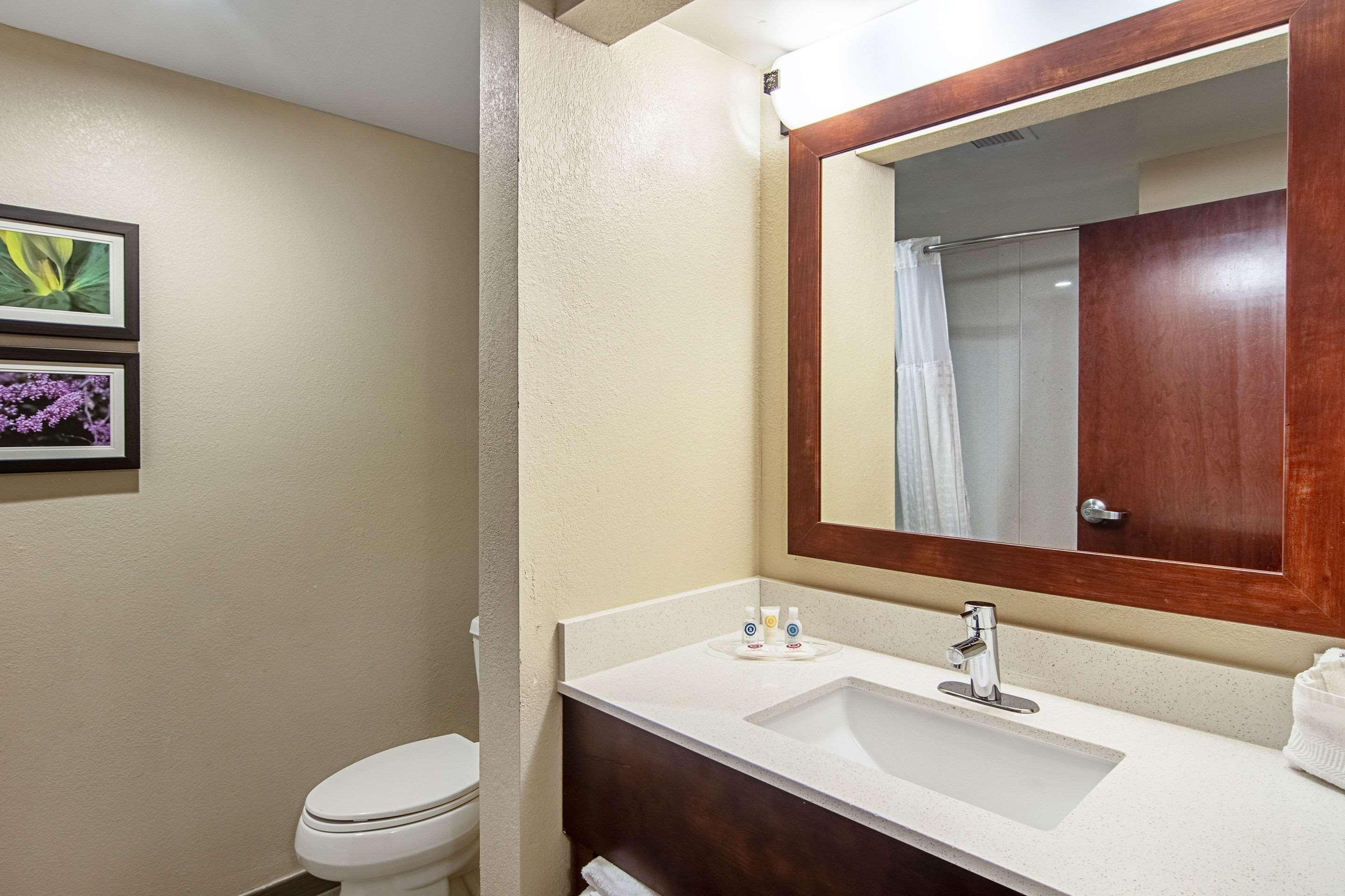 Comfort Suites Knoxville Airport Alcoa Zewnętrze zdjęcie